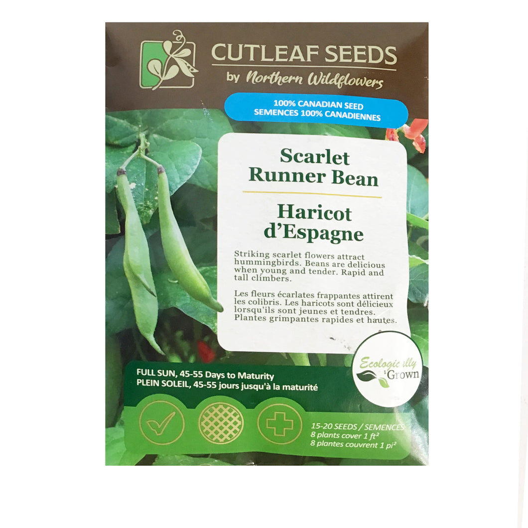 Bean Climbing - Scarlet Runner Seeds, NW