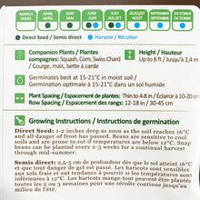 Load image into Gallery viewer, Bean Climbing - Scarlet Runner Seeds, NW
