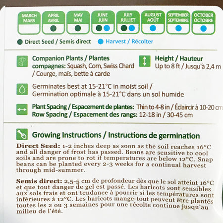 Bean Climbing - Scarlet Runner Seeds, NW