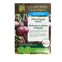 Load image into Gallery viewer, Beetroot - Flat Of Egyptian Seeds, NW
