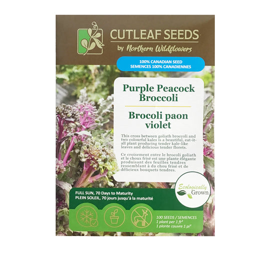 Broccoli - Purple Peacock Sprouting Seeds, NW