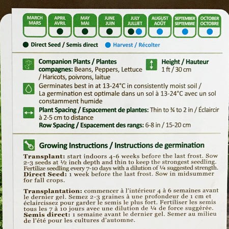 Carrot - Kuroda Seeds, NW