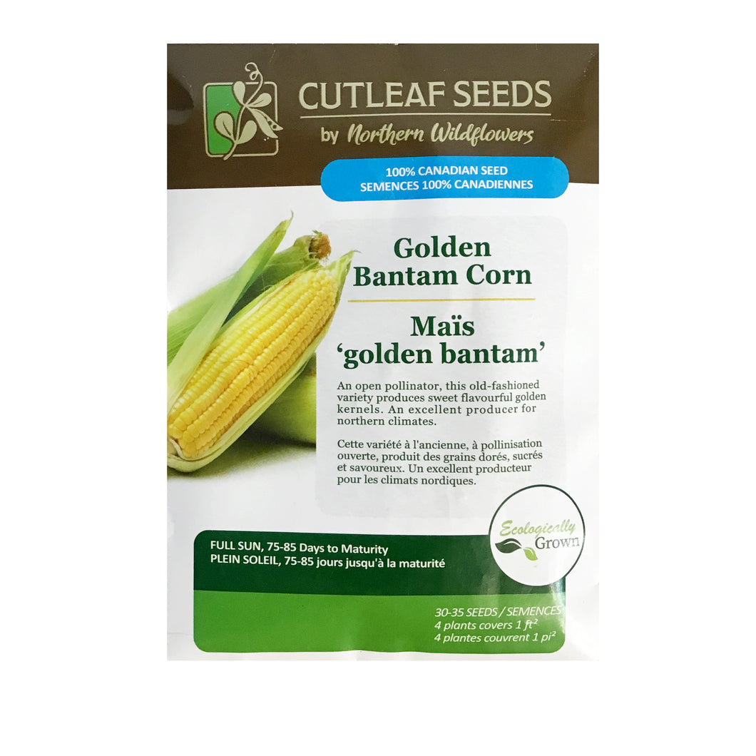 Corn - Golden Bantam Seeds, NW