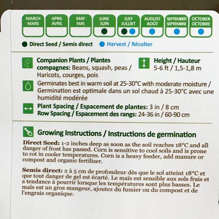 Corn - Golden Bantam Seeds, NW
