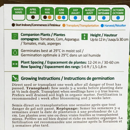 Cucumber - Marketmore Seeds, NW