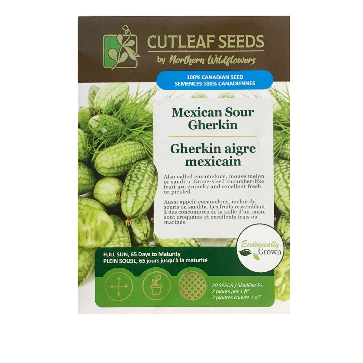 Cucumber - Sour Gherkins Seeds, NW