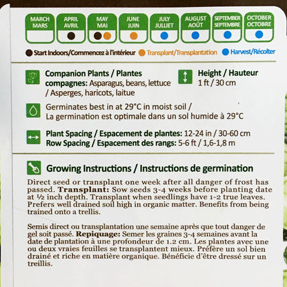 Cucumber - Sour Gherkins Seeds, NW
