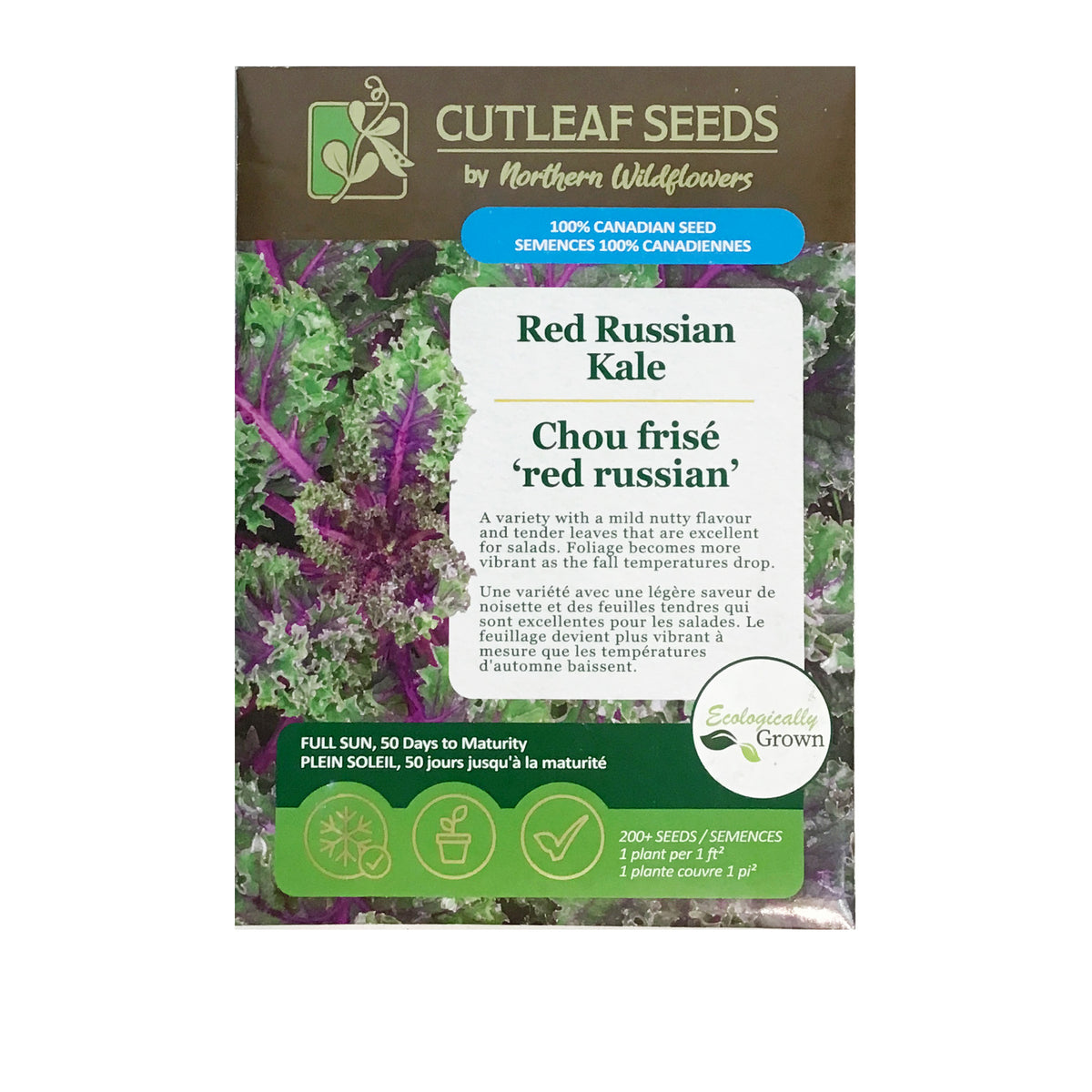 Kale - Red Russian Seeds, NW