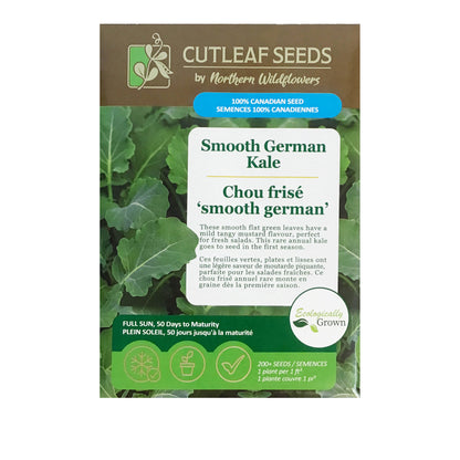 Kale - Smooth German Seeds, NW