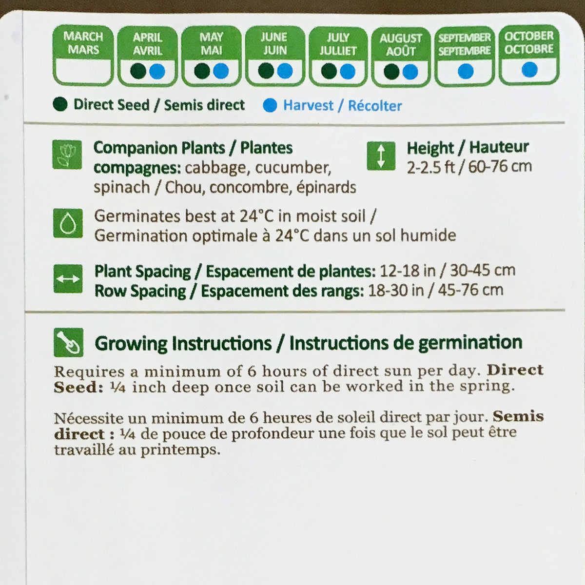 Kale - Smooth German Seeds, NW