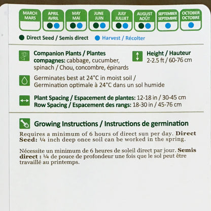 Kale - Smooth German Seeds, NW