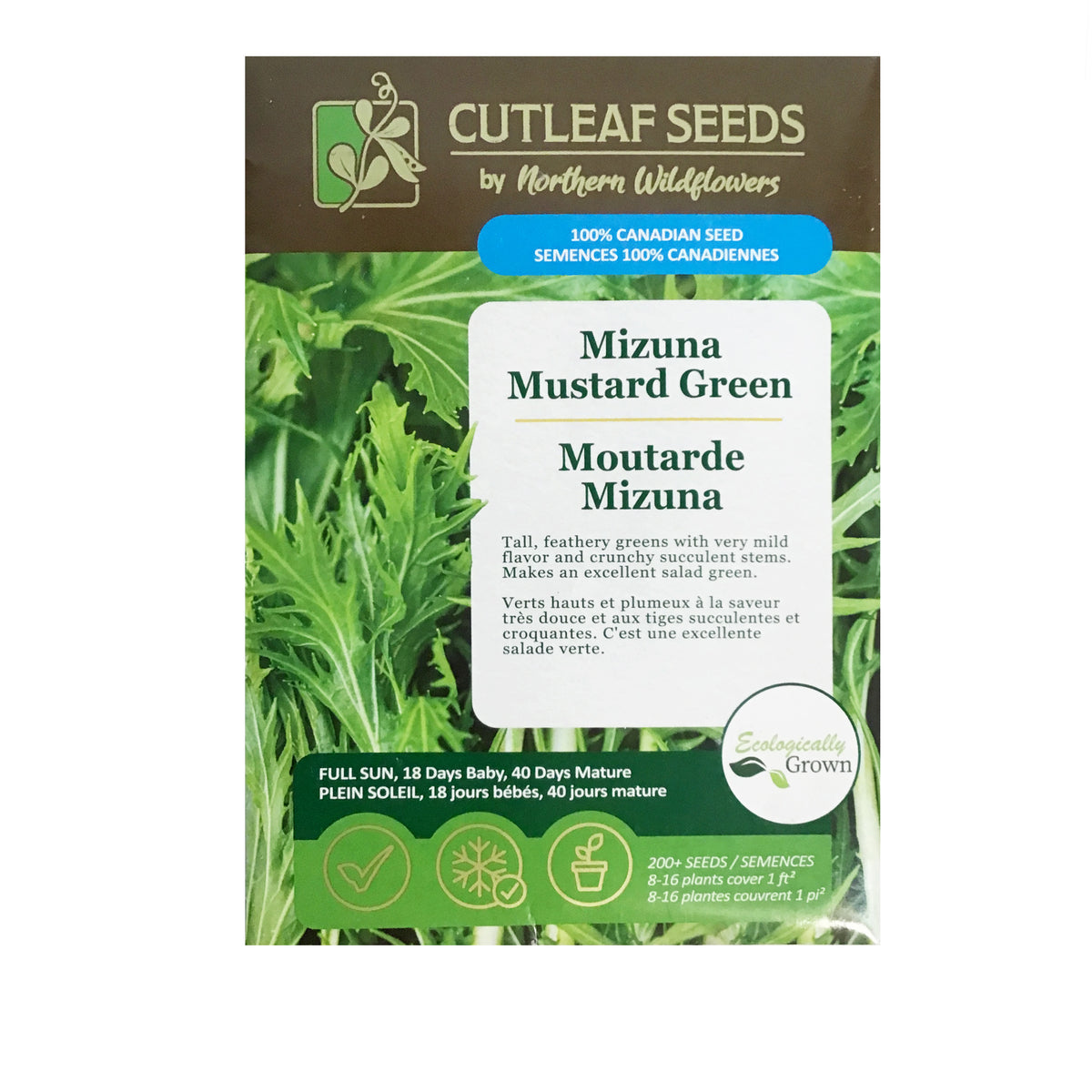 Greens - Mizuna Mustard Seeds, NW
