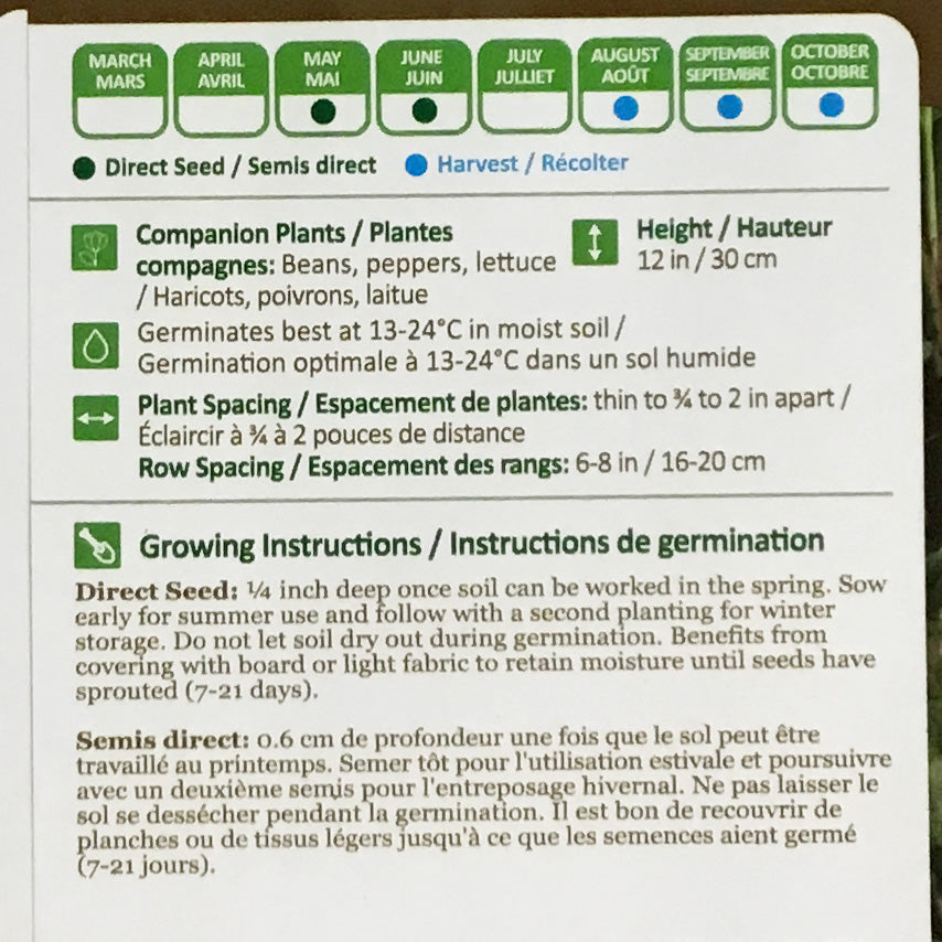 Parsnip - Homeschooler Seeds, NW