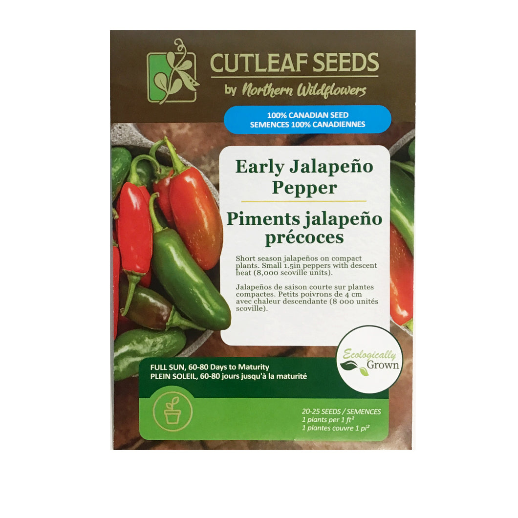 Pepper - Hot Early Jalapeno Seeds, NW