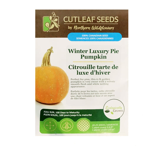 Pumpkin - Winter Luxury Pie Seeds, NW