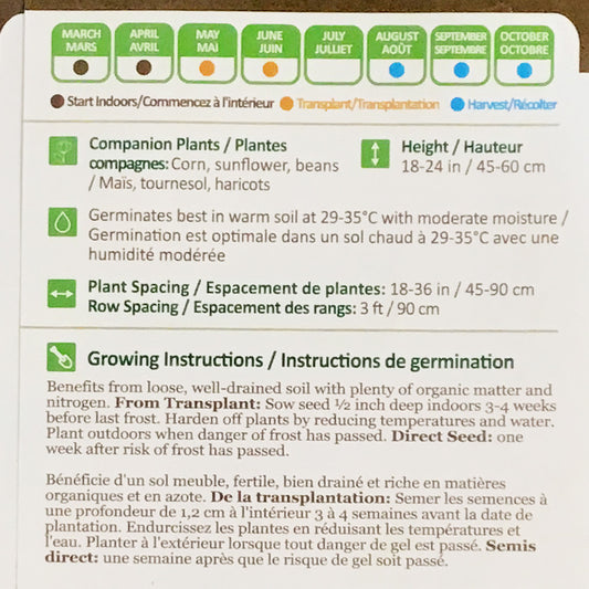 Pumpkin - Winter Luxury Pie Seeds, NW