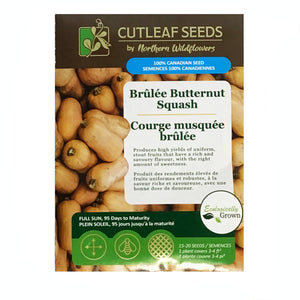 Squash - Brulee Butternut Seeds, NW