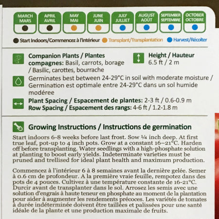 Tomato - Costoluto Fiorentino Seeds, NW