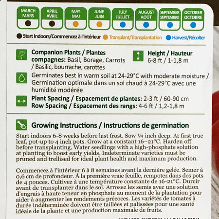 Tomato - German Johnson (Organic) Seeds, NW