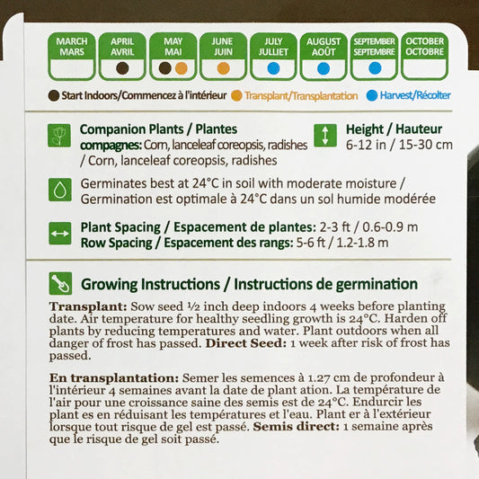 Watermelon - Blacktail Mountain Seeds, NW