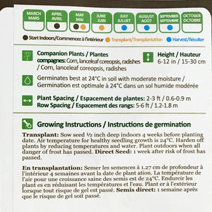 Watermelon - Sweet Siberian Seeds, NW