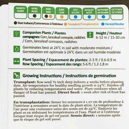 Watermelon - Sweet Siberian Seeds, NW