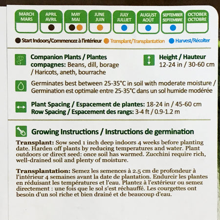 Zucchini - Dark Star Seeds, NW