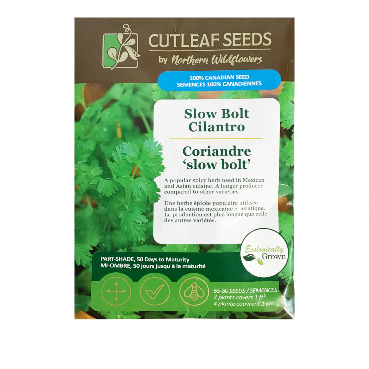 Cilantro - Slow Bolt Seeds, NW
