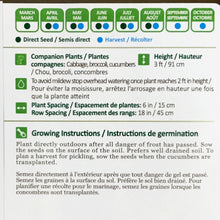 Load image into Gallery viewer, Dill - Bouquet  Seeds, NW

