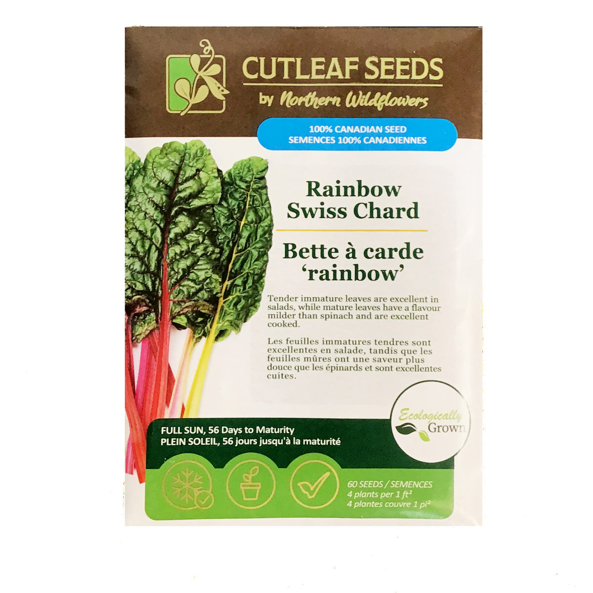 Swiss Chard - Rainbow Seeds, NW