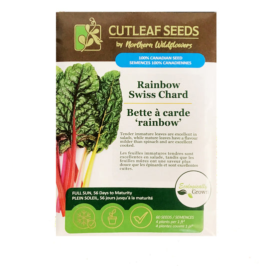 Swiss Chard - Rainbow Seeds, NW