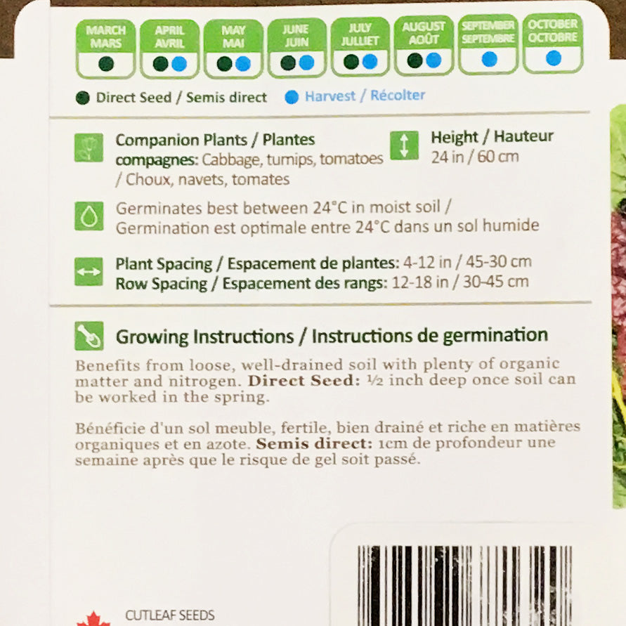 Swiss Chard - Rainbow Seeds, NW