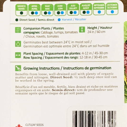 Swiss Chard - Rainbow Seeds, NW
