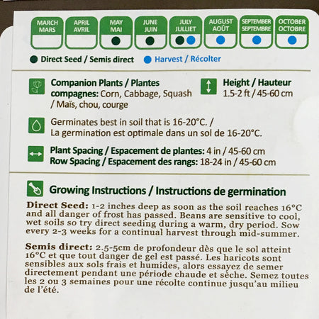 Lettuce - Red Salad Bowl Seeds, NW