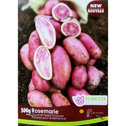 Seed Potato - Rosemarie, VN, 500g Bag
