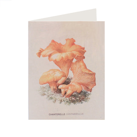 Chanterelle Card