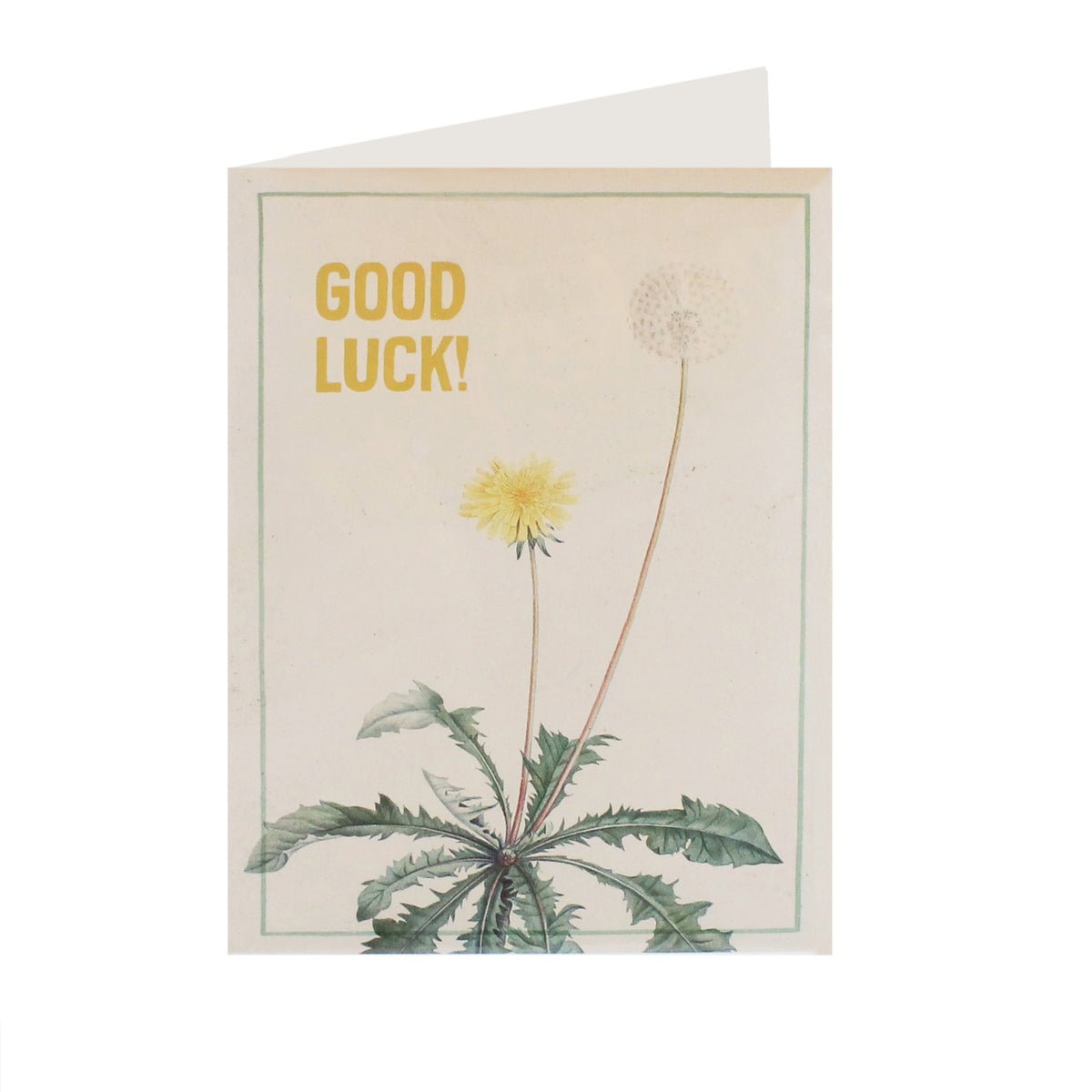 Good Luck Dandelion Card