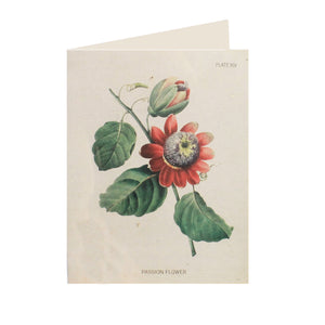 Passion Flower Card