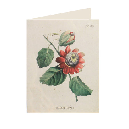 Passion Flower Card