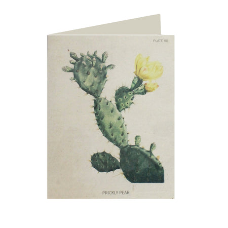 Prickly Pear Card