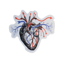 Load image into Gallery viewer, Heart Blood Flow Sticker
