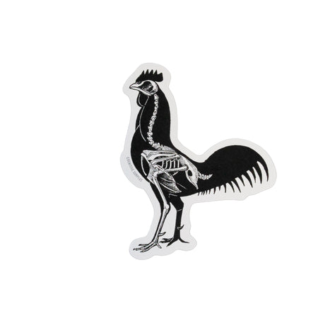 X-Ray Rooster Sticker