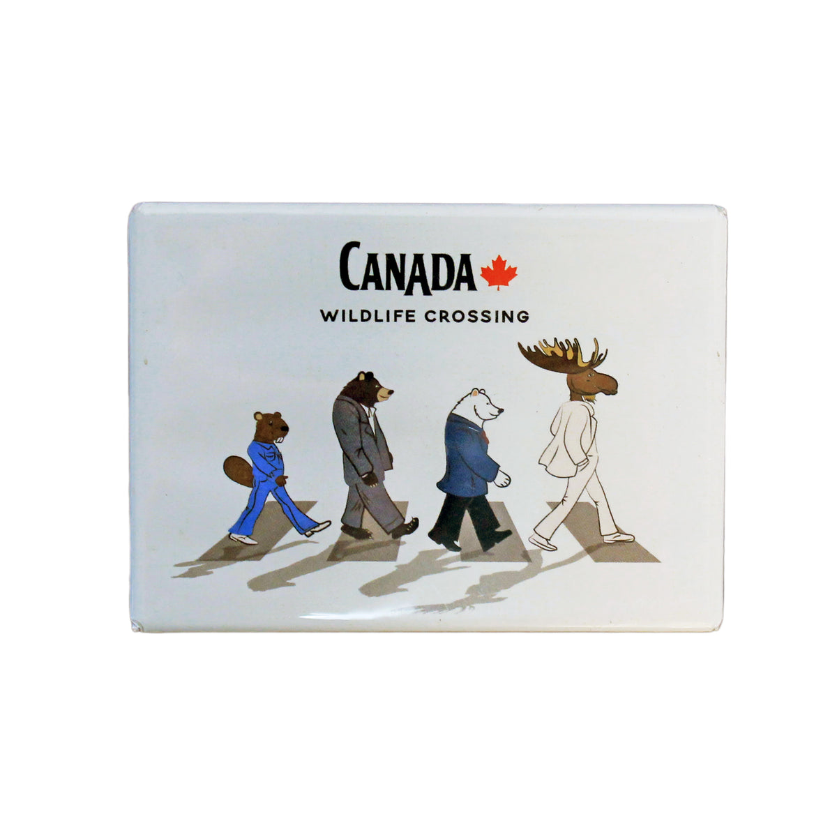 Magnet, Photo, Animals Walking on Abbey Road