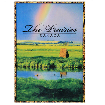 Postcard, 5x7in, Rainbow
