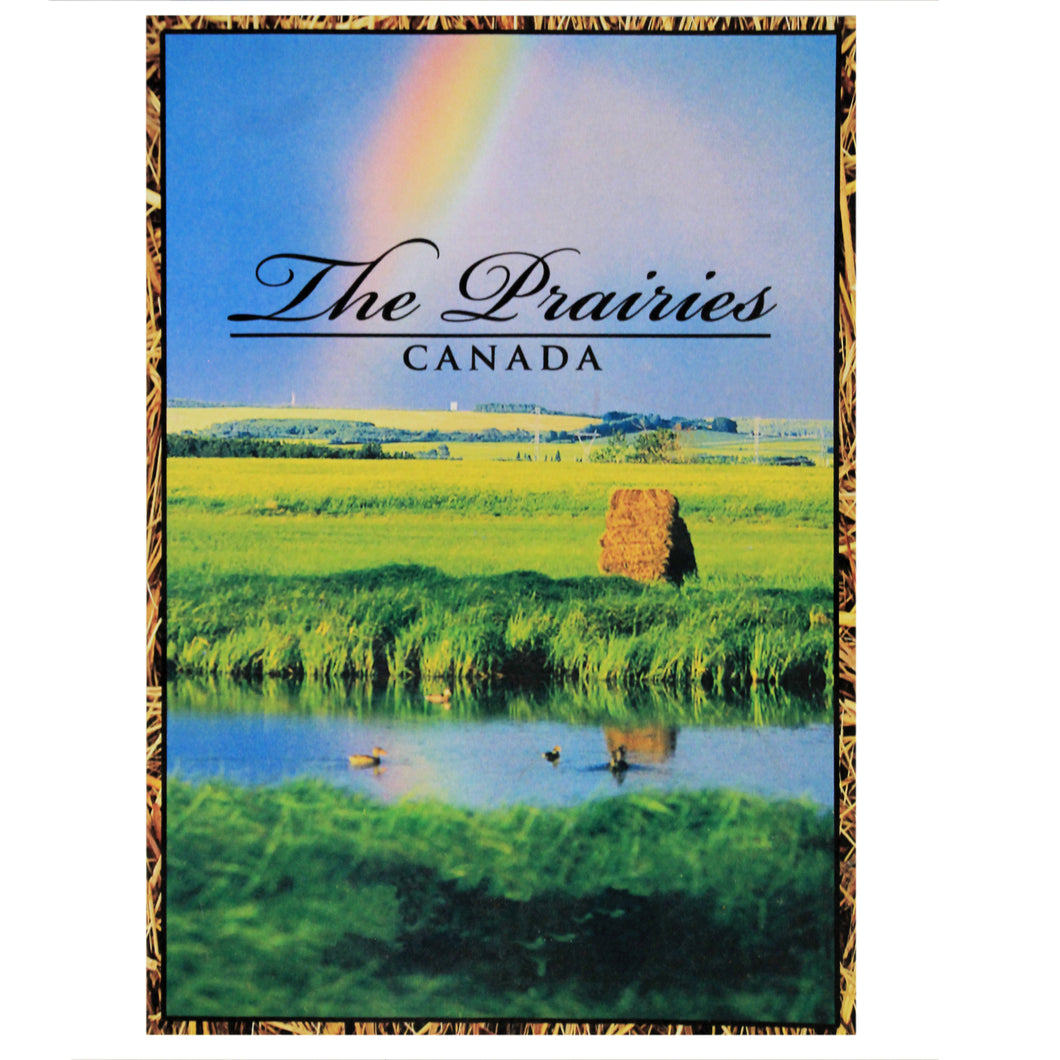 Postcard, 5x7in, Rainbow