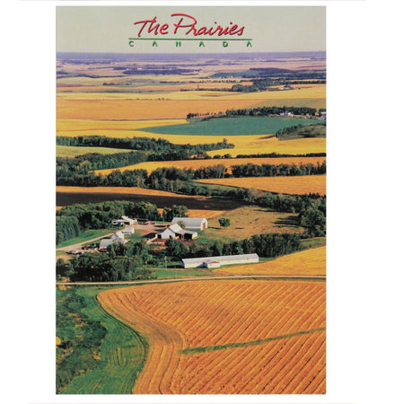 Postcard, 5x7in, Farm in Fields