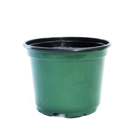 6in Green Plastic grow pot