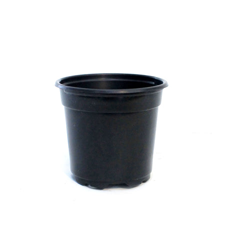4in Black Plastic grow pot
