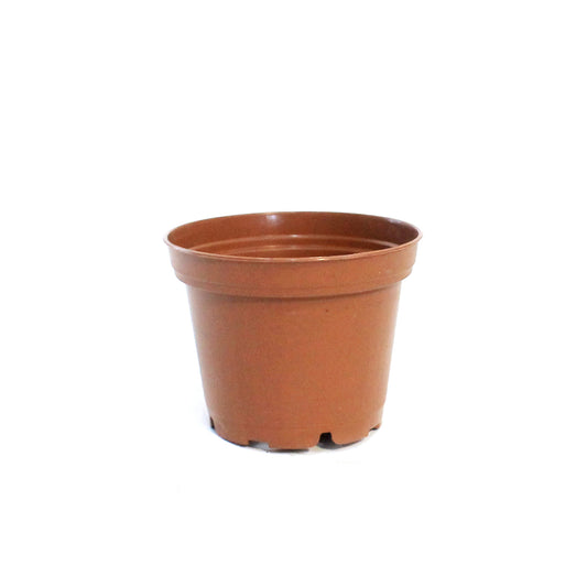 2.75in Terracota Plastic grow pot