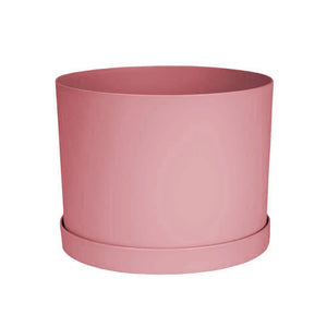 Planter, 6in, Mathers with Saucer, Rose